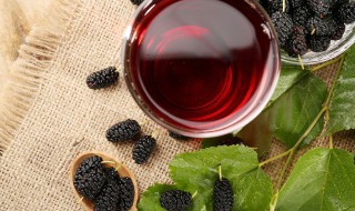 桑葚酒怎么泡（桑葚酒怎么泡最好）