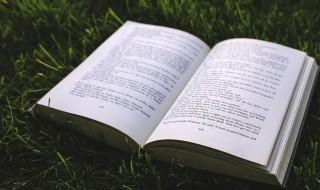 寒露是什么意思含义 寒露什么意思?