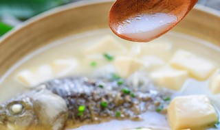 鱼汤热量高吗?（鱼汤热量高吗减肥）