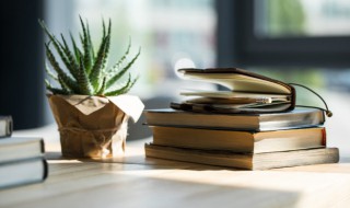 不见经传的意思解释 不见经传 释义