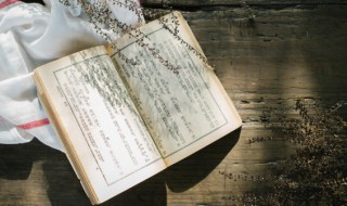 天灾人祸的意思 天灾人祸的解释