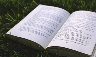 略过的意思（一眼掠过的意思）