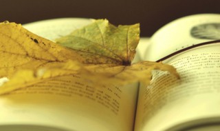 犯上是什么意思（以下犯上是什么意思）