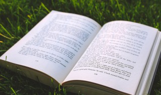 娇爱是什么意思（娇爱是什么意思?）