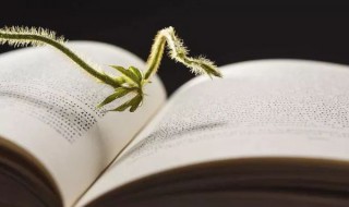 就教是什么意思 就教是啥意思