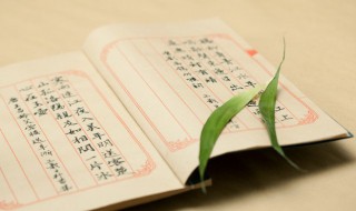 敷衍了事的意思解释（敷衍了事的意思是什么?）