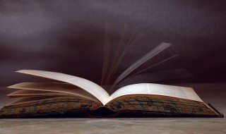 是什么意思(是什么意思日语)