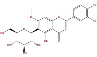 黄素是什么意思（中黄素是什么意思）