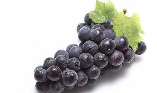 沈阳特产是什么（沈阳特产是什么东西）