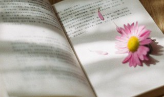 好都合是什么意思(都合がいい意思)