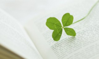 分分是什么意思 分分的意思