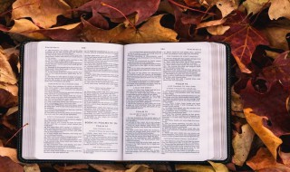 有仙气的古风名字女微信名（微信名称古风仙女昵称）