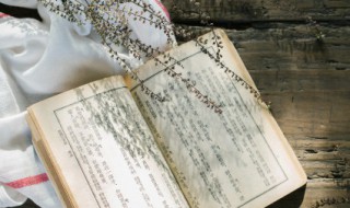 软风是什么意思(什么叫软风)