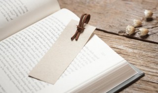 神仙段落摘抄 神仙段落摘抄句子