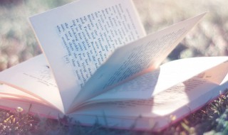 有福气的乳名 有福气的乳名精选