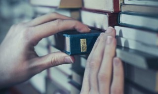 面授是什么意思（面首是什么意思啊）