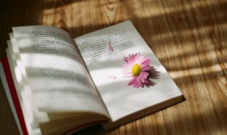 措手不及的意思解释 措手不及的意思解释是什么