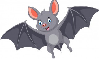 蝙蝠的意思（蝙蝠的意思是什么）