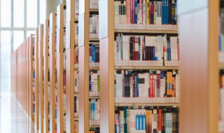 凤凰于飞的意思解释（凤凰于飞的意思是什么意思）