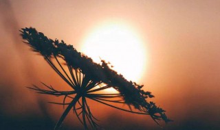 人生三观经典语录（人生三观句子）