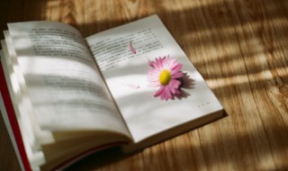 意境唯美的段落摘抄 意境唯美的段落摘抄200字