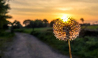 暖心小短句（暖心小短句微博）