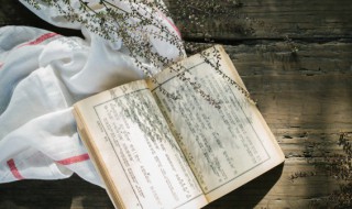 茅檐是什么意思（茅檐长扫的茅檐是什么意思）