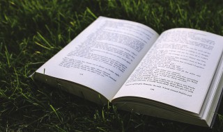 很现实的人生感悟短句 很现实的人生感悟短句英语