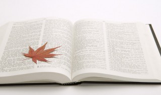 人生最现实的一段话 人生最现实的一段话说说