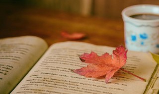 人生感悟境界高精辟句子(人生感悟境界高精辟句子简短)