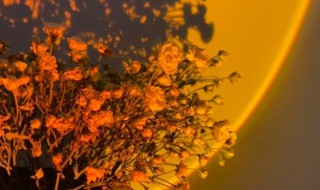 高质量的小众文案 高质量的小众文案英文