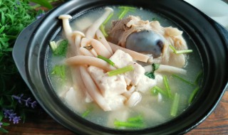 海鲜菇做汤的家常做法 怎样做海鲜菇汤