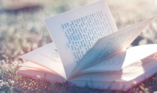 有仙气的古风名字女带符号(女生古风名字带符号)