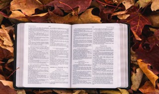 好运一生微信名有哪些（什么微信名字最好运）