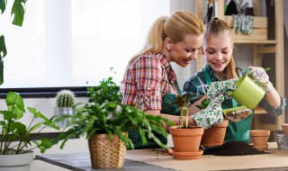 关于养植物心情的说说 关于养植物心情的说说简短