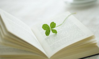 关于失恋的说说超感动 关于失恋说说伤感句子