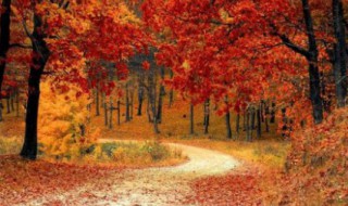 关于秋天的两字词语 关于秋天的两字词语有哪些