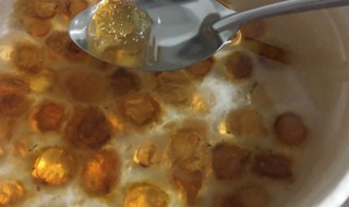 如何正确的泡发桃胶 如何正确的泡发桃胶窍门