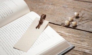 踽踽怎么读 茕茕踽踽怎么读