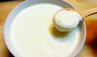 姜撞奶怎么做好喝 姜撞奶简易做法