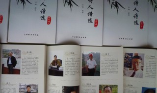 中国当代十大诗人排名（中国当代十大诗人排名表）