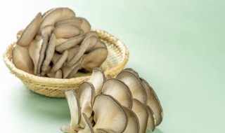 蘑菇青笋炒肉做法和步骤 竹笋蘑菇炒肉的做法