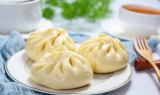 茄子酱肉包的做法 茄子酱肉包的做法大全