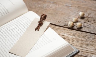 光辉灿烂什么意思 灿烂辉煌什么意思