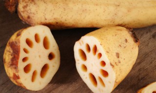 鸡蛋藕饺子馅做法（鸡蛋藕饺子馅做法视频）