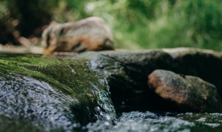 饮水思源什么意思 吃水不忘挖井人饮水思源什么意思