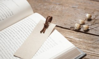 形只影单什么意思 形单影只和形只影单的意思一不一样