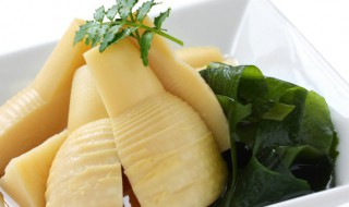 竹笋鱼香肉丝做法(竹笋鱼香肉丝做法窍门)