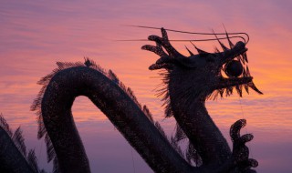 关于龙的词语（关于凤的词语）