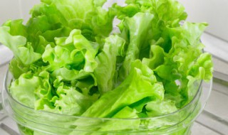 蚝油生菜制作步骤有哪些 蚝油生菜的家常制作方法